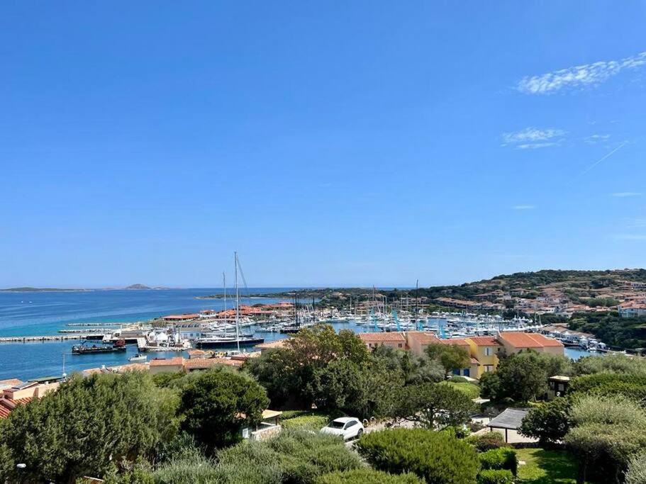 L'attico Del Porto Appartamento
